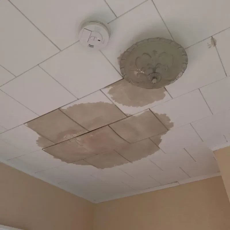 Ceiling Water Damage Repair in Kalida, OH