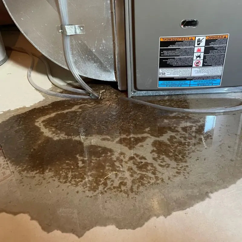Pipe Burst and Leak Restoration in Kalida, OH
